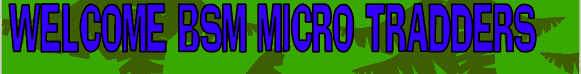 welcome_bsm.gif